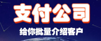 支付公司盈利来源